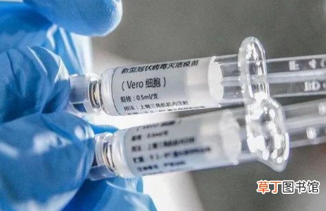 新冠疫苗加强针有必要打吗 加强针新冠疫苗什么时候可以打