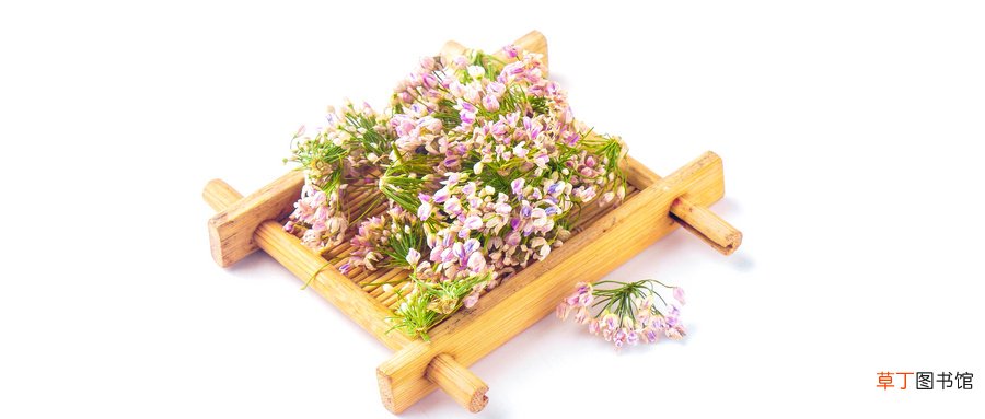 韭菜花的做法