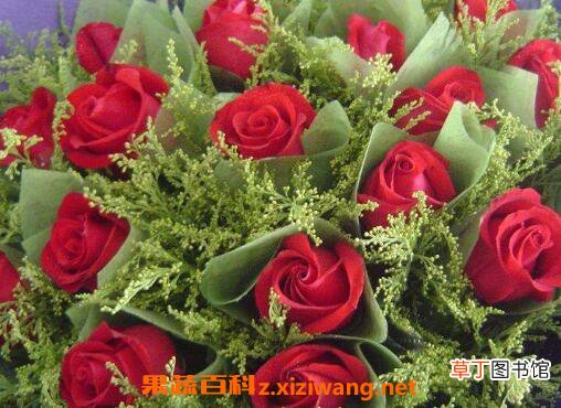 玫瑰花摘下来怎么保存