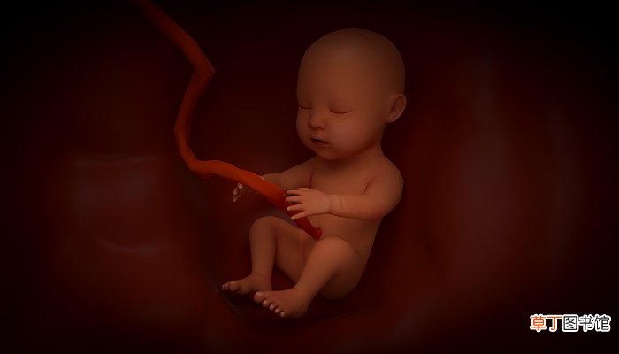梦见自己大肚子临产