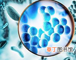 尿路感染吃什么药最好 尿路感染吃什么药疗效好