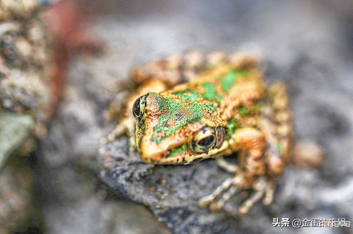 千岛湖好玩吗 杭州千岛湖
