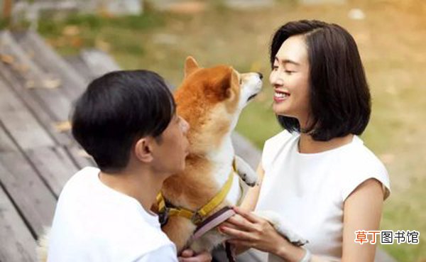 朱茵为什么会嫁黄贯中 朱茵为什么40几岁才结婚