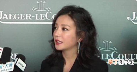赵薇害过什么人 赵薇害过人吗