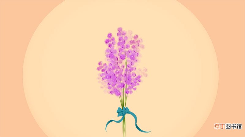 十二星座的守护花