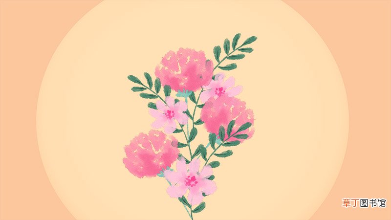 十二星座的守护花