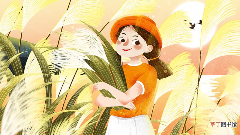 白露节气的含义是什么
