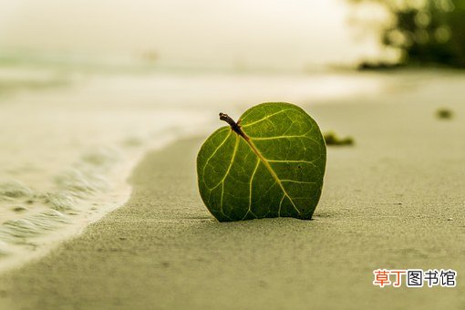 原谅色是什么梗