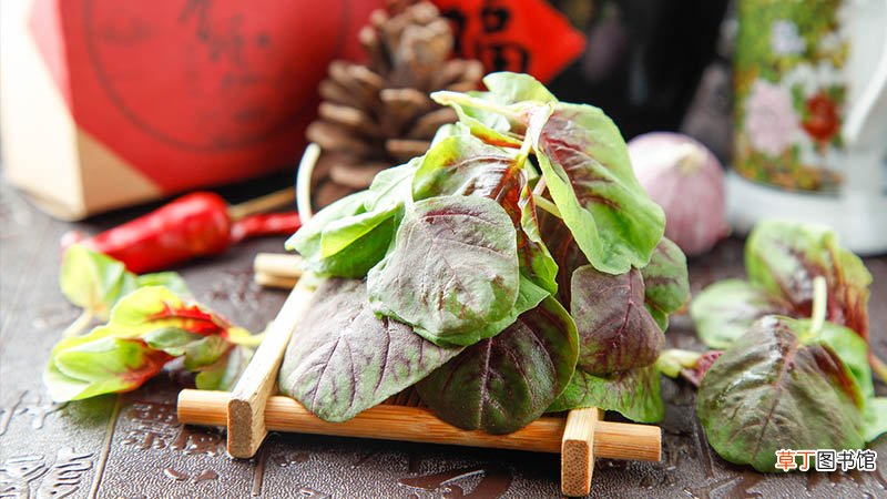 臭苋菜梗有什么营养