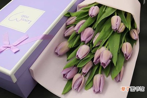 送给老师应该送什么花 教师节送什么花给老师比较适合