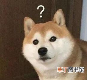 什么动作让狗知道你喜欢它 狗狗为什么叹气