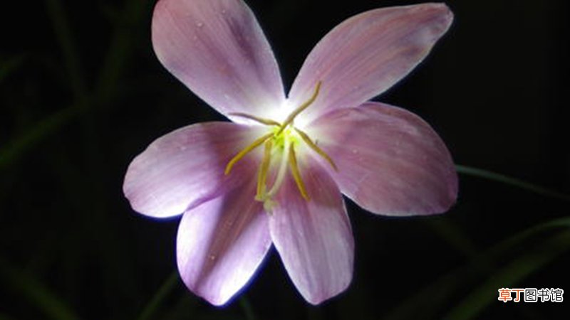晴雨花的原理是什么