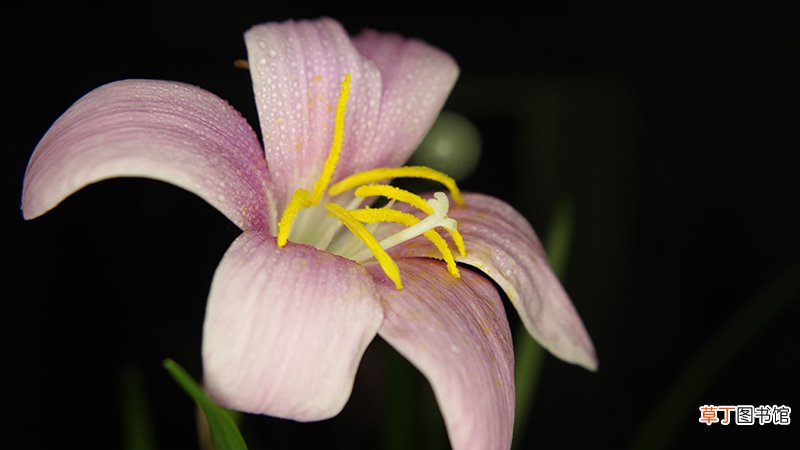 晴雨花的原理是什么