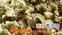 白梅花的功效与作用 吃白梅花的好处