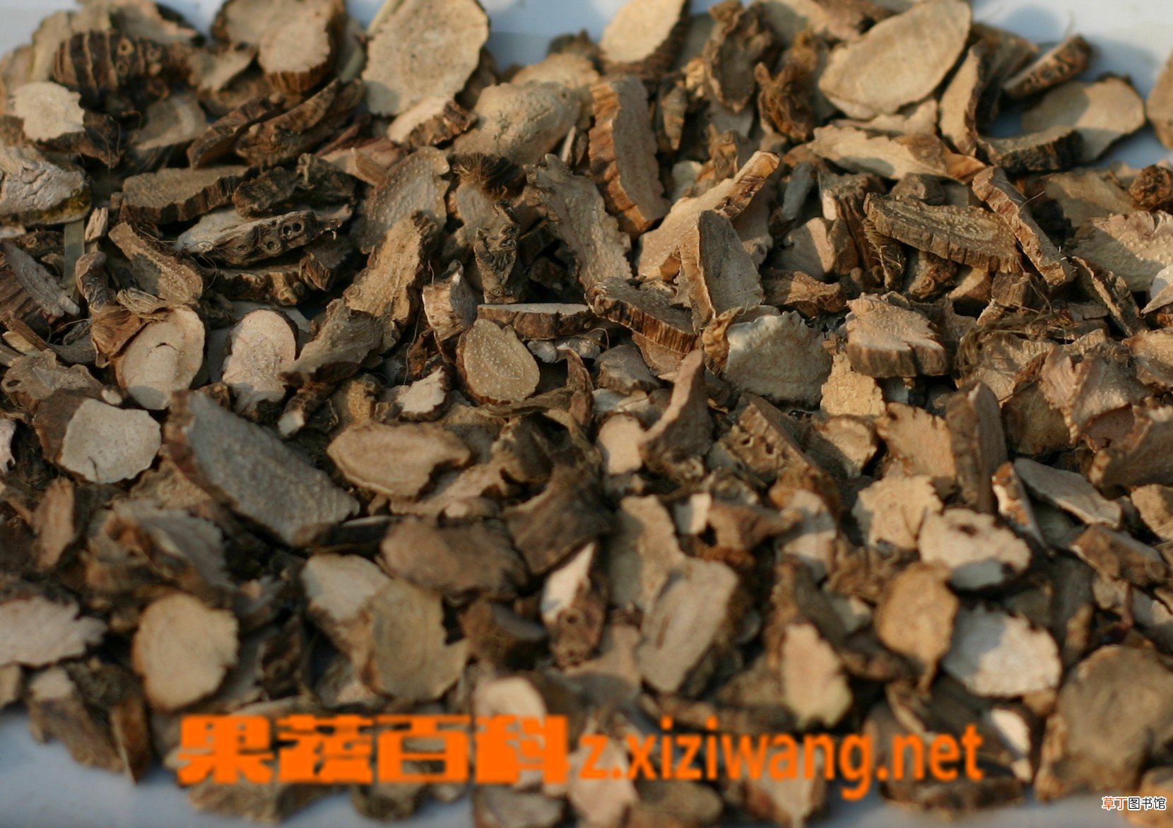 石菖蒲是什么 石菖蒲的功效与作用