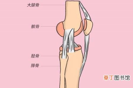 腿关节胀痛是什么原因引起的 为什么腿关节疼