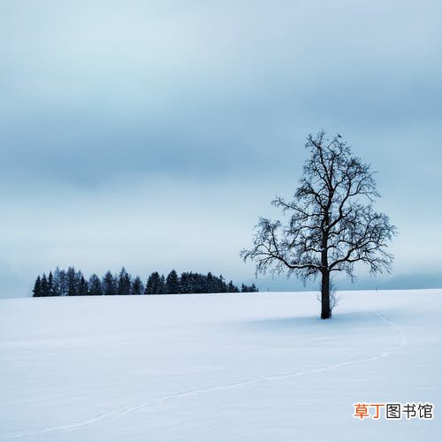 梦见在雪地里走是什么征兆