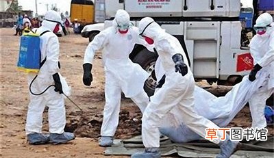 美国疫情最新消息 美国实验室感染致命病毒小白鼠失踪