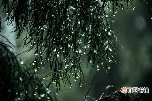 梦到大雨大水是什么意思