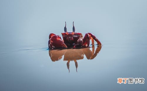 梦见大螃蟹是什么意思