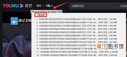 2017优酷旧版本下载 优酷为什么下载不了视频