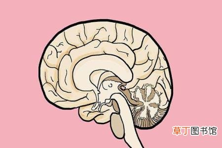 腿无力哆嗦是怎么回事 为什么腿一直抖