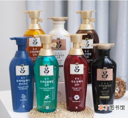 韩国爱茉莉旗下品牌