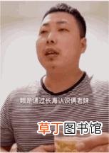 瑞典东北人什么梗 为什么东北人叫瑞典人