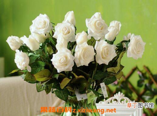 摘下来的花怎样保存 鲜花怎么保存时间长