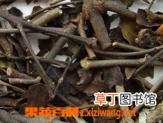 什么是桑寄生 桑寄生的功效与作用