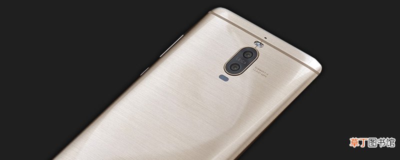 lonaloo是什么型号 lonaloo的型号是啥