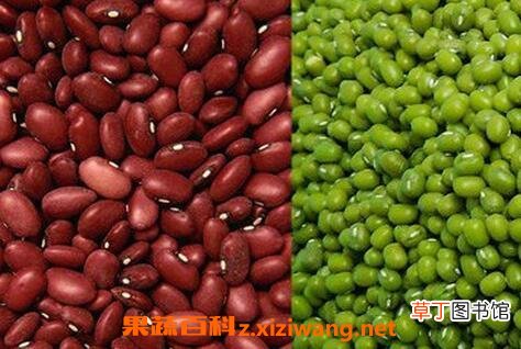 绿豆瘦身粥的材料和做法步骤教程