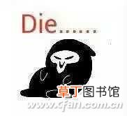 浏览器打不开怎么办 浏览器开不了网页