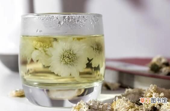 菊花茶变绿 泡好的菊花茶变绿了