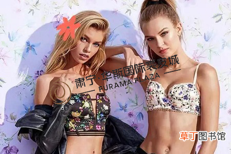比基尼是什么意思？ 什么是比基尼？