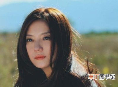 赵薇是间谍 赵薇是因为这件事凉的