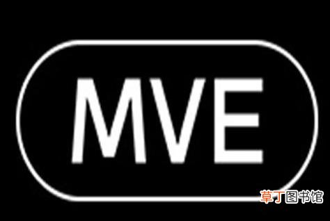 mve是什么牌子