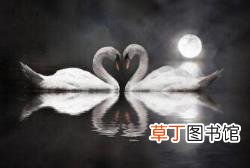 女生的嘴是不是越亲越甜 接吻为什么是甜的