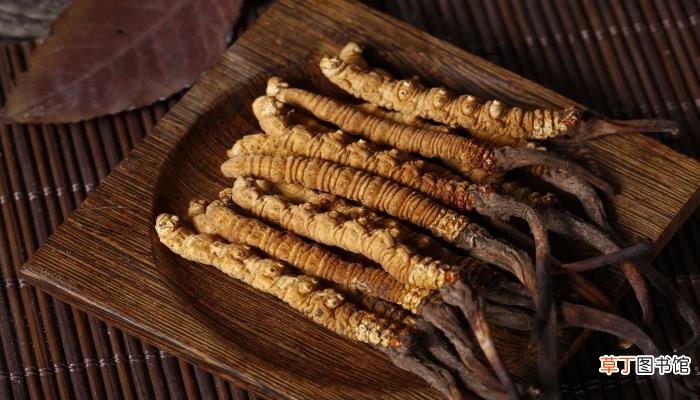 梦见从自己肉里拽出蛆