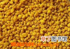 蜂花粉的作用与功效 吃蜂花粉的好处