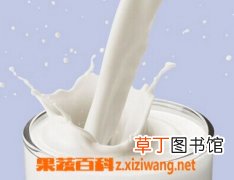 什么是搓牛奶 搓牛奶的功效