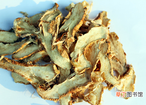 中药知母 中草药之知母