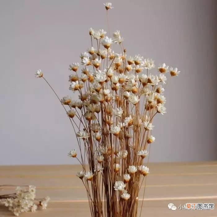 如何过情人节？ 情人节该怎么过
