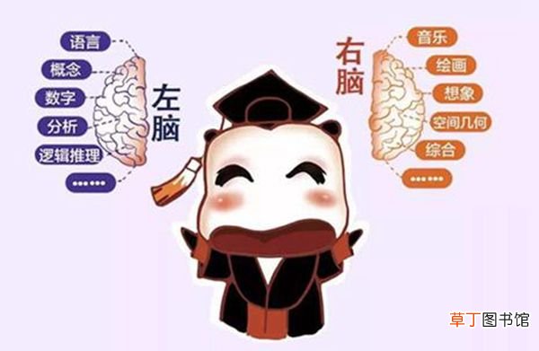左脑和右脑的区别 左脑右脑哪个更发达的人聪明些