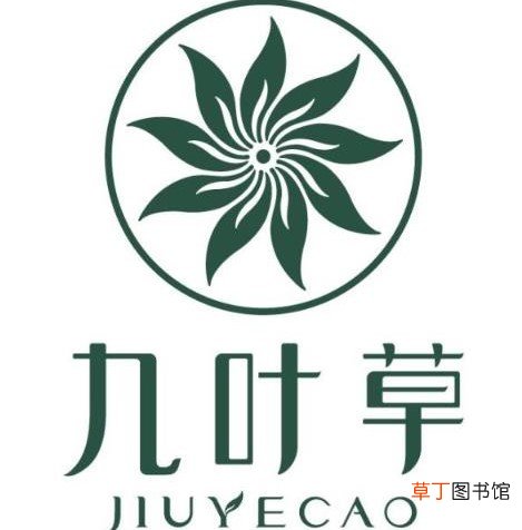 九叶草是正规护肤品吗