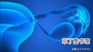 这个月基本没有白带怎么回事 为什么没白带