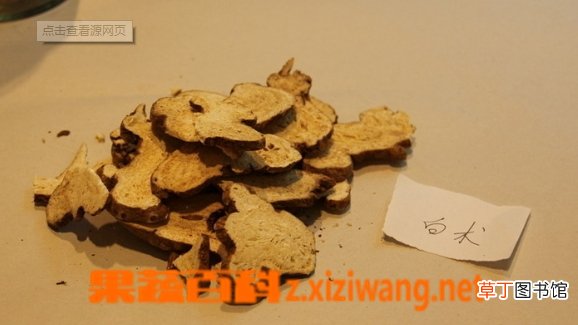 白术的功效与作用
