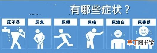 尿频的症状 尿频症状分析