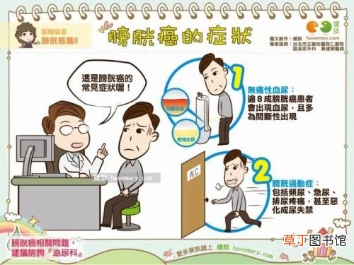 尿频的症状 尿频症状分析
