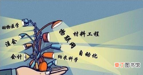 高考专业选择 高考如何选专业？